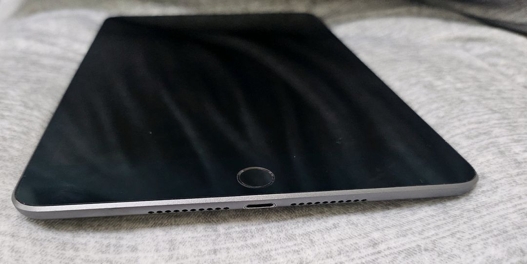 아이패드 미니5세대 셀룰러 256gb--4