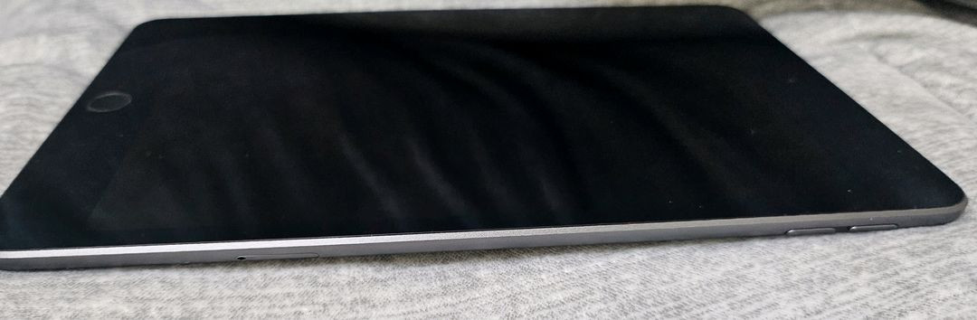 아이패드 미니5세대 셀룰러 256gb--5