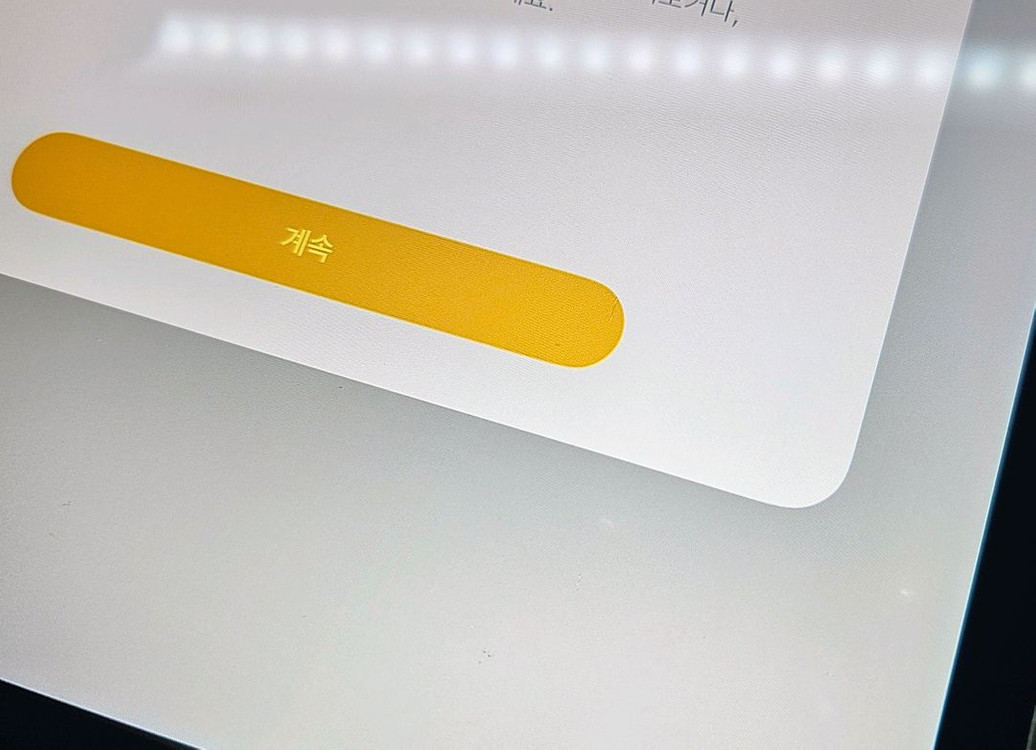 아이패드 미니5세대 셀룰러 256gb--7