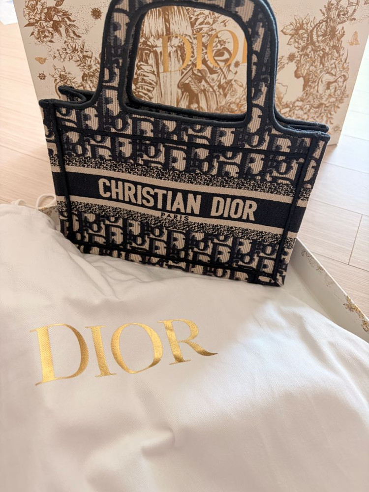 디올 북토트 미니백 이미지