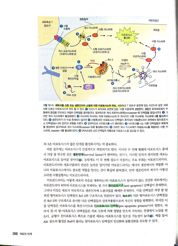 세포의 세계 교재 제8판--1