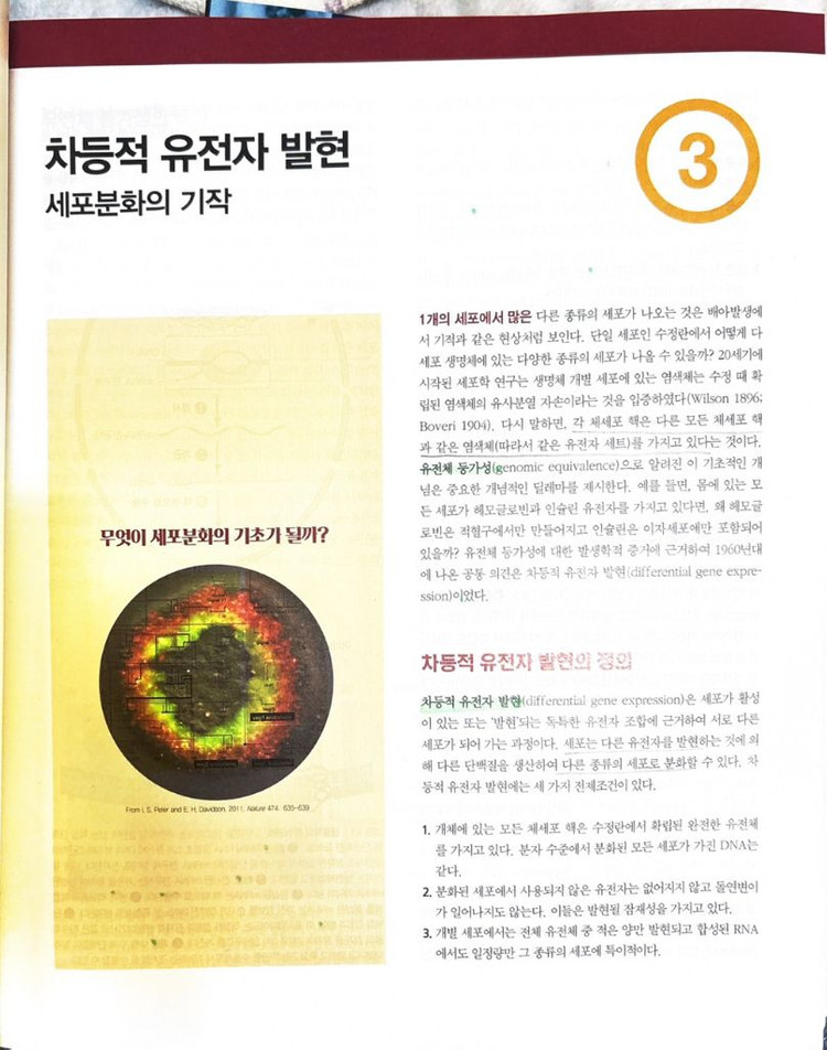 발생생물학 교재 12판--1