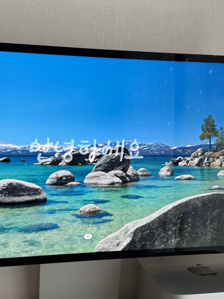 애플 스튜디오 디스플레이 + 트랙패드 & 매직키보드 & 마우스--1