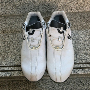 풋조이 골프화 225