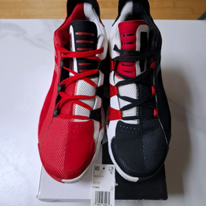 [280] 데임6 포틀랜드