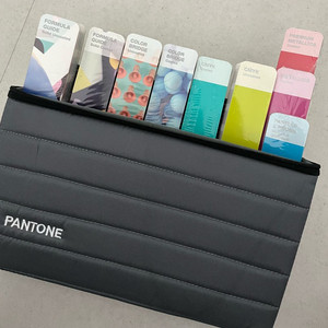 팬톤 컬러칩 포터블 가이드 스튜디오 GPG304N