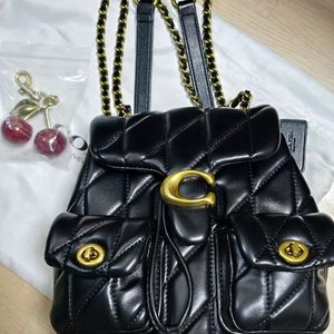 코치태비퀼팅 백팩 이미지