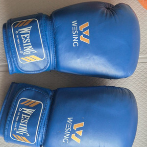 WESING 위싱 복싱글라브 10oz 이미지