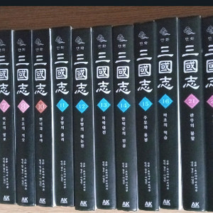 만화 삼국지 양장본 총 30권 중 낱권 총 21권