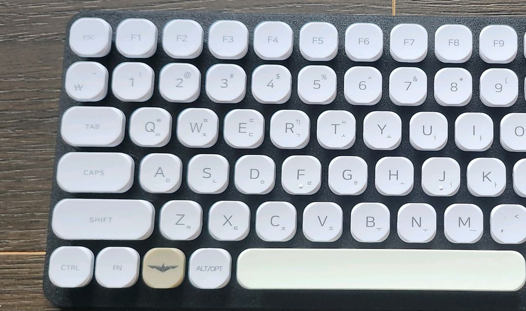 엘레트론 페나 키보드 블랙 스페셜 적축 + 추가키캡 이미지