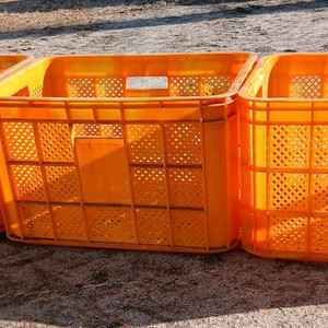 사과박스 컨테이너(1,000개 보유)