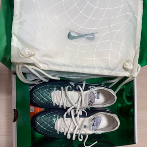 나이키 티엠포 레전드10 엘리트 AG 250mm