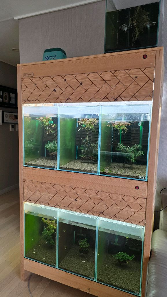 비쉬림프 축양장 판매합니다 새우 어항--1