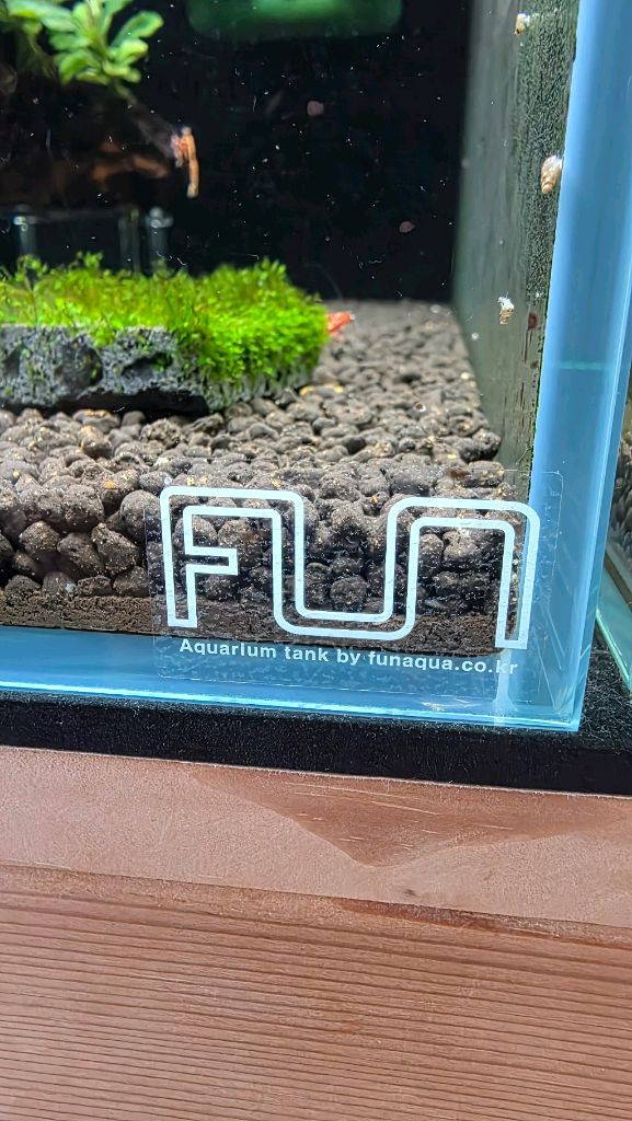 비쉬림프 축양장 판매합니다 새우 어항--3