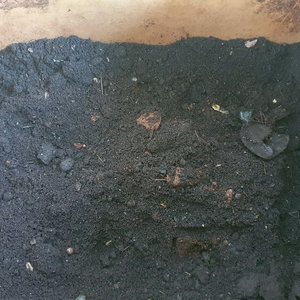 미생물 음식물처리기 미생물 2.5kg 이미지