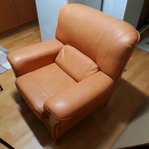 공간활용좋은 1인가죽쇼파,소파