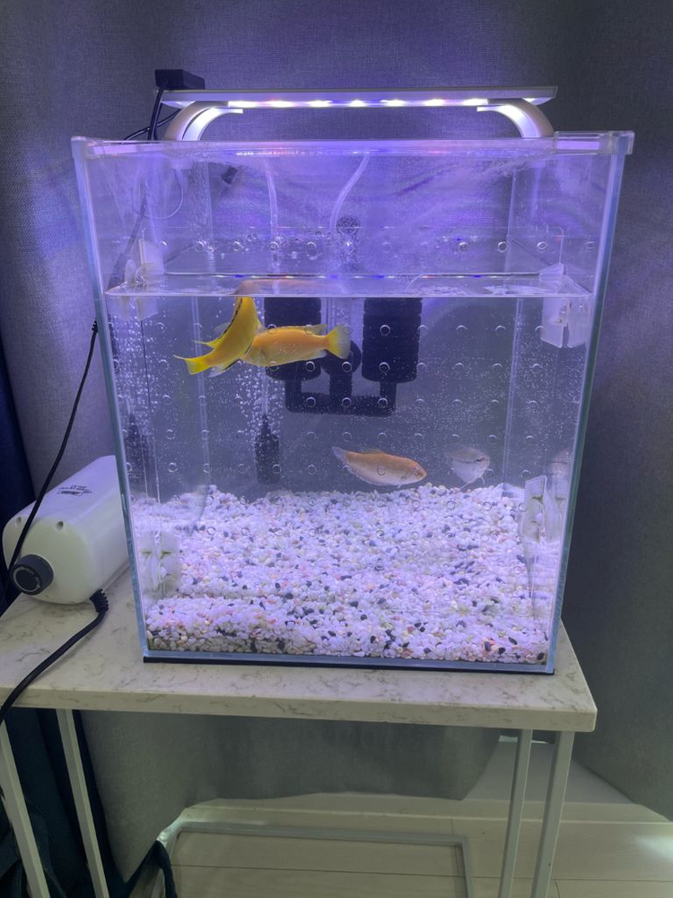 어항 세트 나눔합니다--2