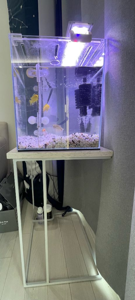 어항 세트 나눔합니다--3