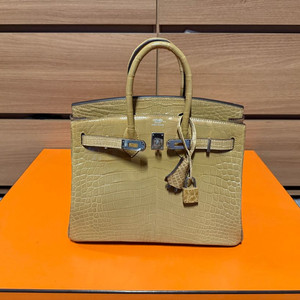 벌킨, 버킨25 올수공 닐로티쿠스