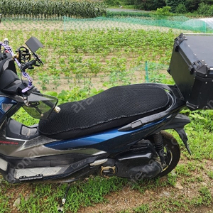 18년식 포르자300 판매합니다