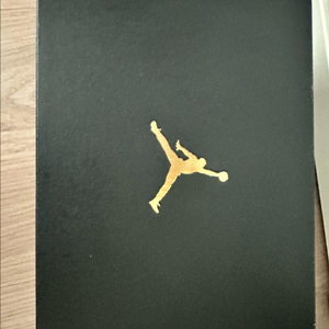 유아용 신발 나이키 조던160미리