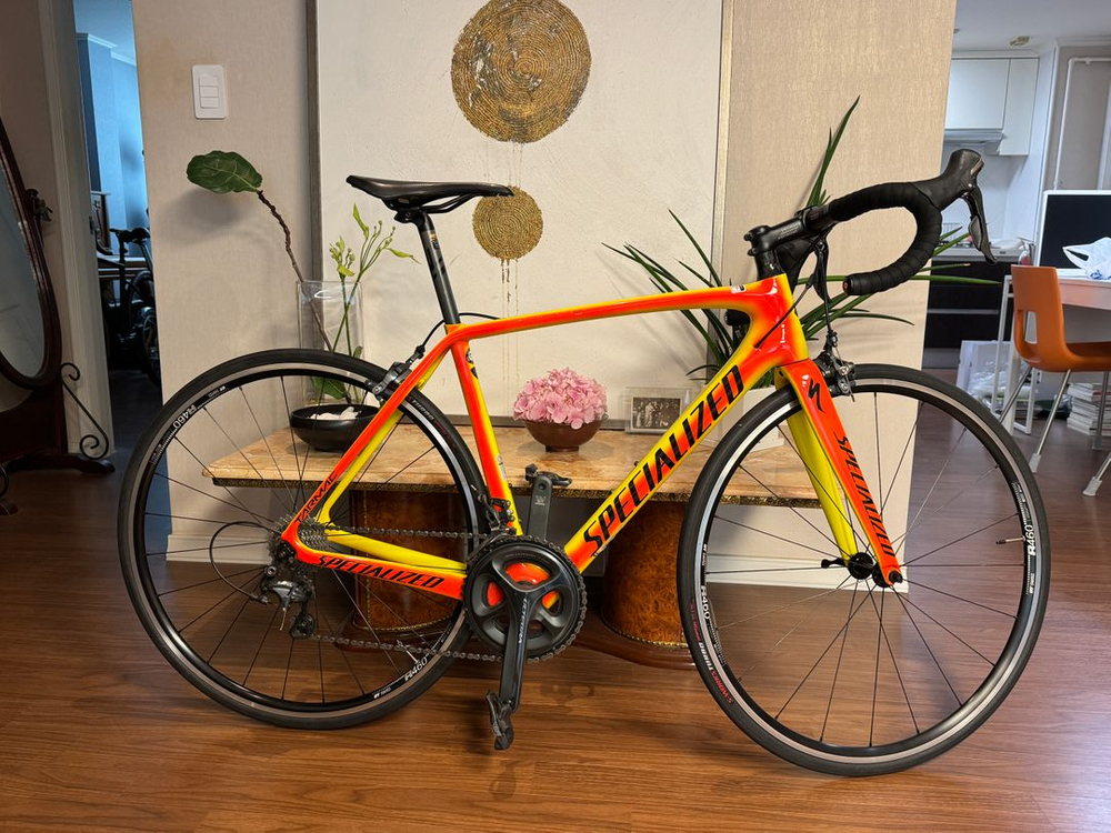 스페셜라이즈드 타막 콤프 토치 에디션 (54 사이즈)--2