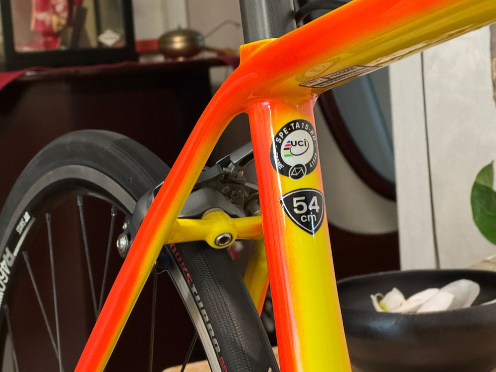 스페셜라이즈드 타막 콤프 토치 에디션 (54 사이즈)--5