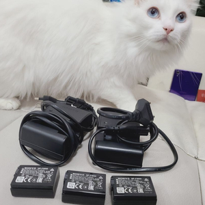 소니 정품 A6400 Rx1r3 배터리 충전기 소니 정품 FW50 NP E10 더미배터리