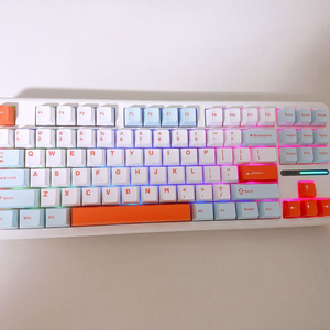 AULA F87 Pro 독거미 키보드 황축