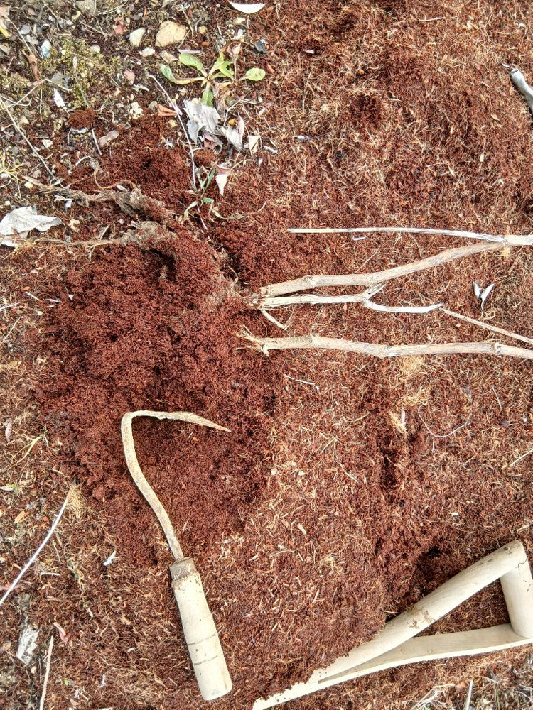 코코피트 저렴한 대용량 5500원 원예 화분훍 만능흙 달팽이흙 모종재배 이미지