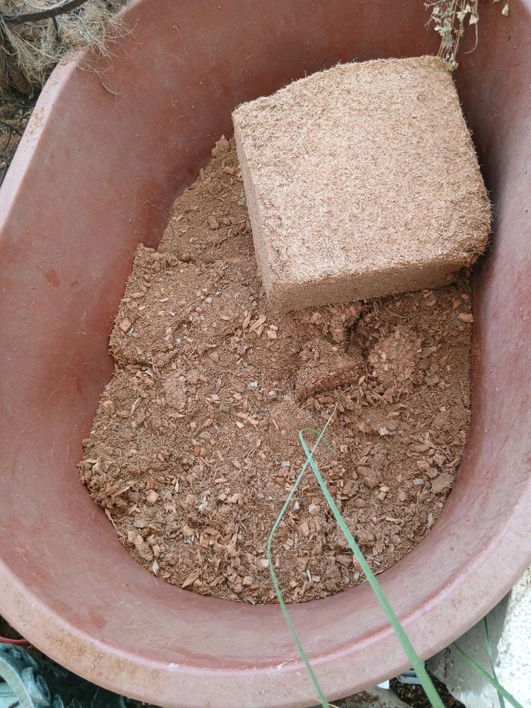 코코피트 저렴한 대용량 5500원 원예 화분훍 만능흙 달팽이흙 모종재배 이미지