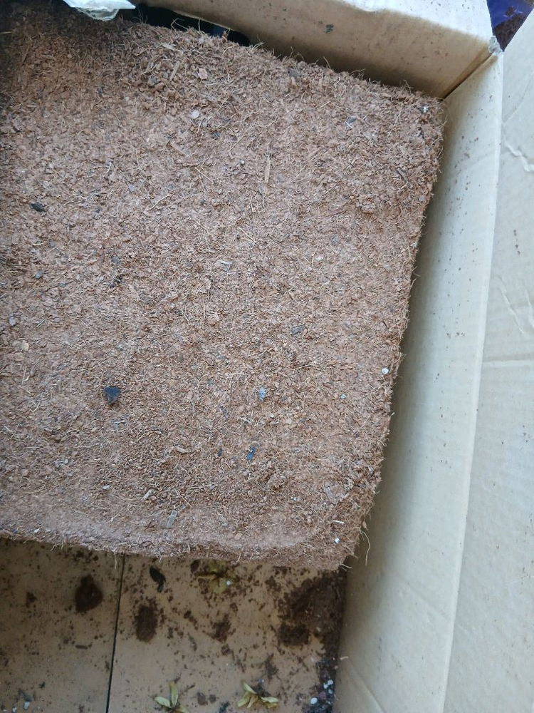 코코피트 저렴한 대용량 5500원 원예 화분훍 만능흙 달팽이흙 모종재배 이미지