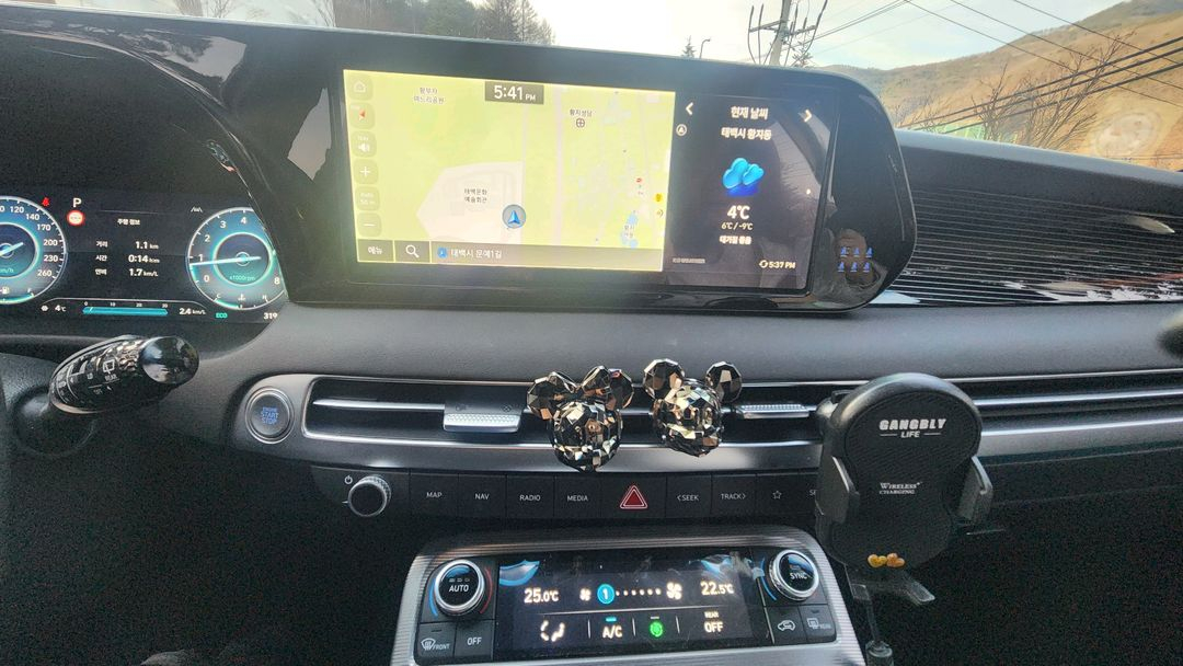 펠리세이드3.8 가솔린 4륜구동 캘리그라피 이미지