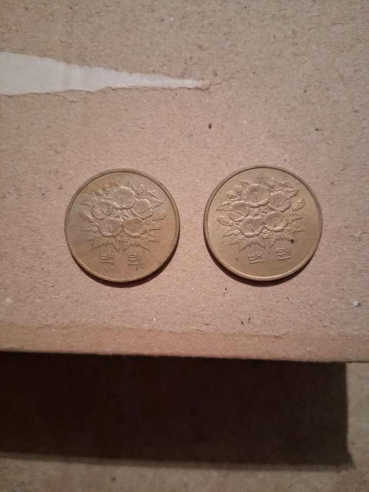 1981년 100원 기념주화2개--1