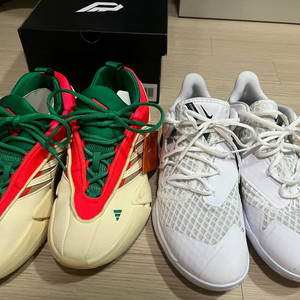 데임9 과 줌스피드코트