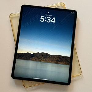 아이패드 프로 4세대 12.9인치 1TB wifi S급 93% 스그 + 케이스