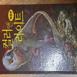 컬러앤라이트 개정판