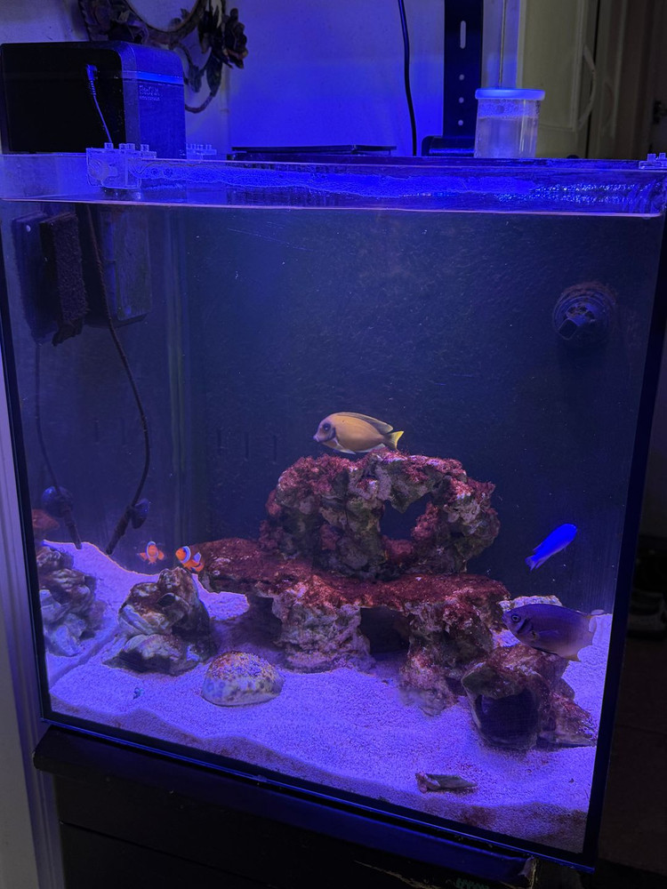 45큐브 해수어항 세트 (맥스펙트조명,시즈항온기,염도계)--1