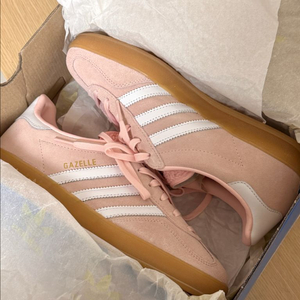 가젤 인도어 핑크 운동화 240