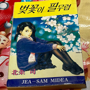 벚꽃이 필무렵 / 호조 츠카사 만화 시티헌터 캣츠아이 작가 이미지