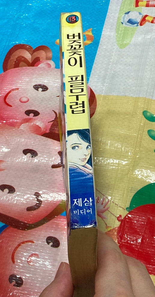 벚꽃이 필무렵 / 호조 츠카사 만화 시티헌터 캣츠아이 작가 이미지