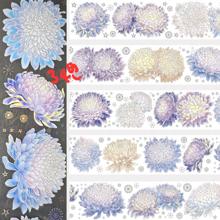 (처분) 다꾸 해외마테컷 1패턴 (이형지o)--6