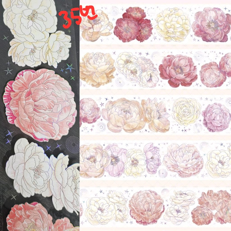 (처분) 다꾸 해외마테컷 1패턴 (이형지o)--7