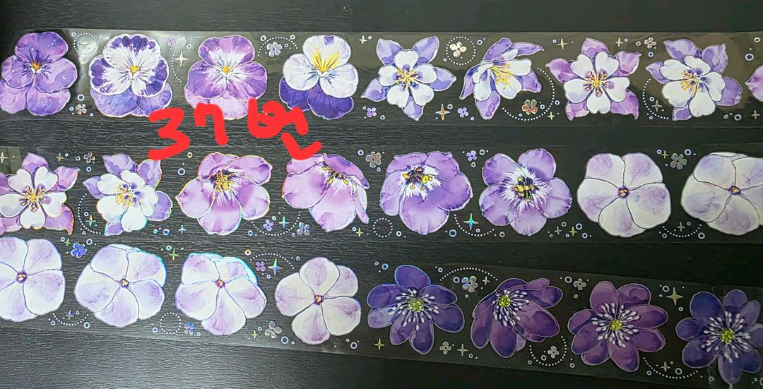 (처분) 다꾸 해외마테컷 1패턴 (이형지o)--9