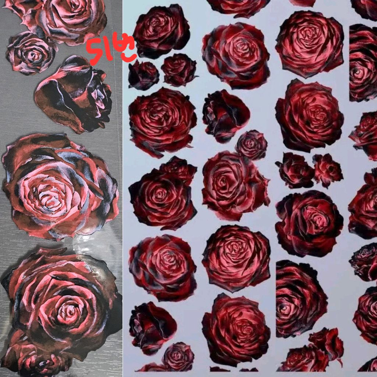 (처분) 다꾸 해외마테컷 1패턴 (이형지o)--7