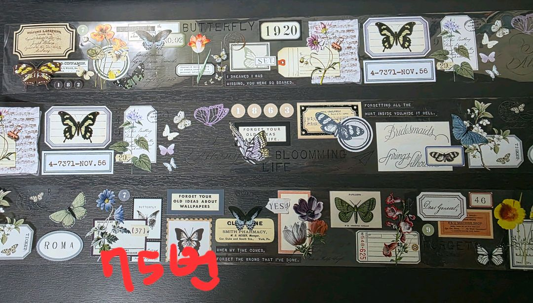 (처분) 다꾸 해외마테컷 1패턴 (이형지o)--4