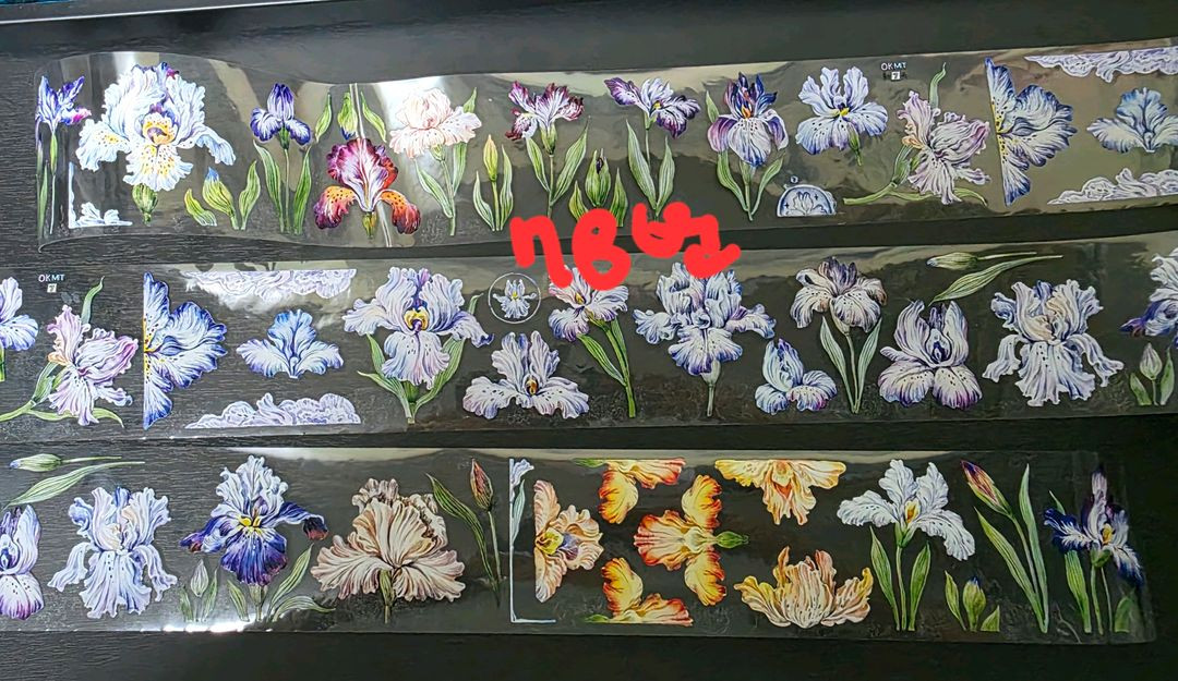 (처분) 다꾸 해외마테컷 1패턴 (이형지o)--7