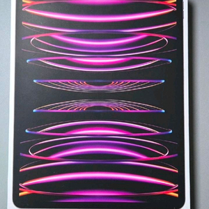 아이패드 프로 6세대 12.9 256 셀룰러 리퍼 새제품