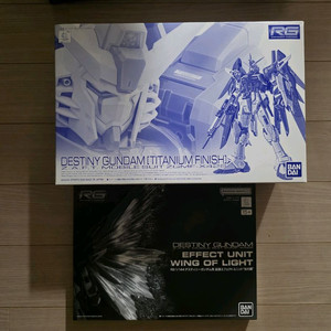 RG 데스티니 티타늄피니쉬+빛의날개 세트