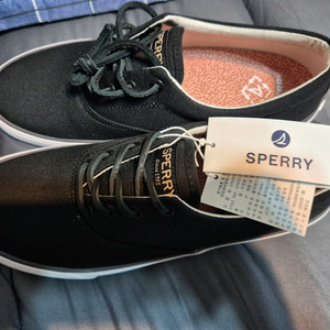 Sperry 운동화 새상품이에요